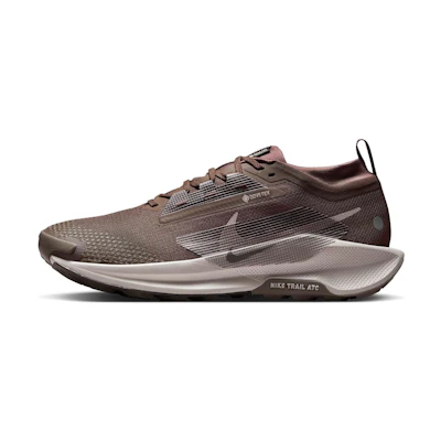 Nike Pegasus Trail 5 GORE-TEX 'Ironstone Velvet Brown'