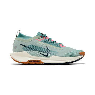 Nike Pegasus Trail 5 GORE-TEX 'Jade Horizon'