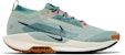 Nike Pegasus Trail 5 GORE-TEX 'Jade Horizon' Lelarian Kasut FQ0908-300