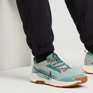 Nike Pegasus Trail 5 GORE-TEX 'Jade Horizon' Lelarian Kasut FQ0908-300 Order Nike Pegasus Trail 5 GORE-TEX 'Jade Horizon' Lelarian Kasut FQ0908-300