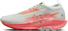 Buy Nike Pegasus Trail 5 GORE-TEX 'Light Silver Wild Mango' FQ0908-004