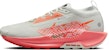 Nike Pegasus Trail 5 GORE-TEX 'Light Silver Wild Mango' FQ0908-004