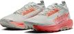Nike Pegasus Trail 5 GORE-TEX 'Light Silver Wild Mango' FQ0908-004