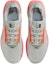 Shop Nike Pegasus Trail 5 GORE-TEX 'Light Silver Wild Mango' FQ0908-004