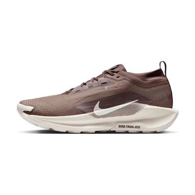 Nike Pegasus Trail 5 GORE-TEX 'Mink Brown'