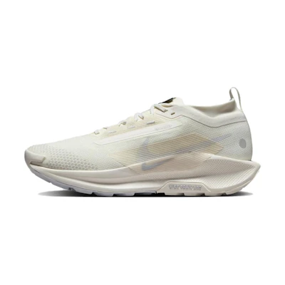 Nike Pegasus Trail 5 GORE-TEX 'Photon Dust'