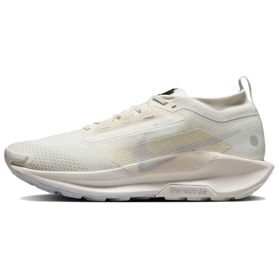 Nike Pegasus Trail 5 GORE-TEX 'Photon Dust' FQ0908-101