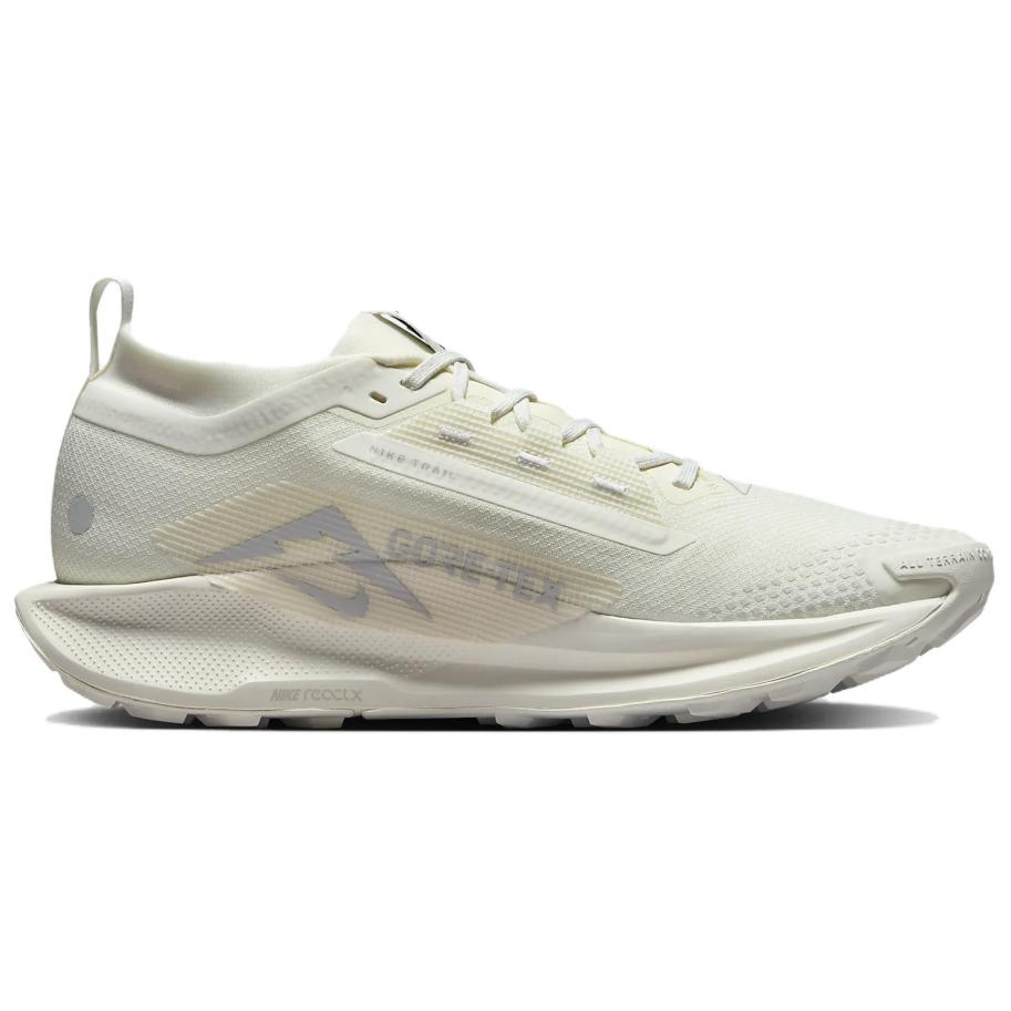 Lookbook Nike Pegasus Trail 5 GORE-TEX 'Photon Dust' FQ0908-101