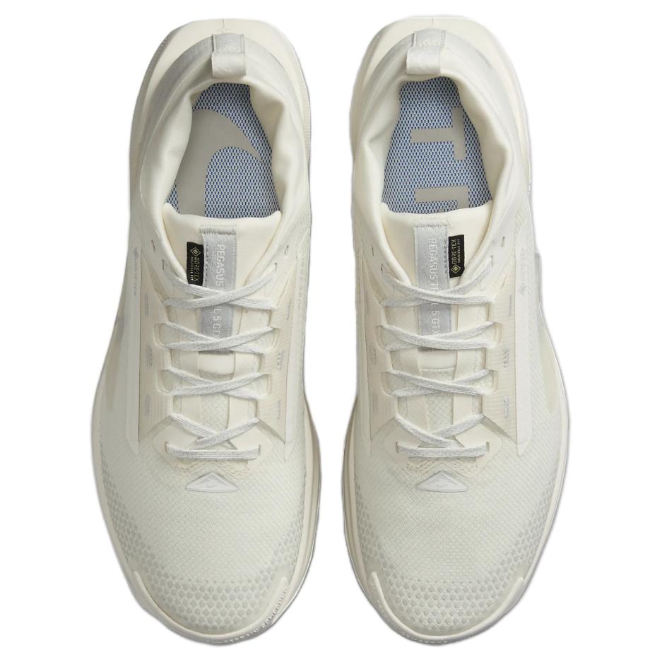 Shop Nike Pegasus Trail 5 GORE-TEX 'Photon Dust' FQ0908-101