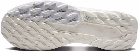 Details for Nike Pegasus Trail 5 GORE-TEX ''Photon Dust'' Herren/Wanderschuhe FQ0908-101