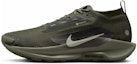 Buy Nike React Pegasus Trail 5 Gore-Tex Sequoia Cargo Khaki Lelaki & Wanita HQ7494-300