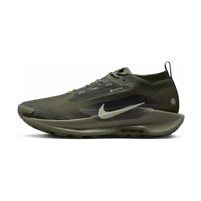 Nike Pegasus Trail 5 GORE-TEX 'Sequoia Cargo Khaki'