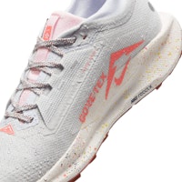 Nike Pegasus Trail 5 GORE-TEX Sepatu Lari Tahan Air FQ0908-009 4