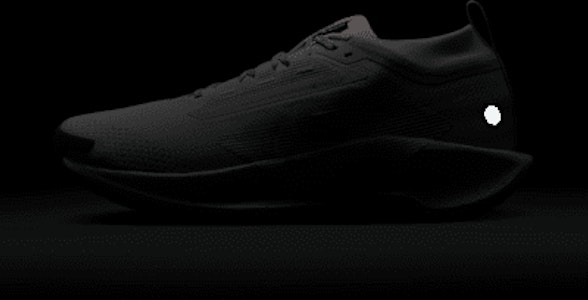 Nike Pegasus Trail 5 GORE-TEX Sepatu Lari Tahan Air FQ0908-009 2