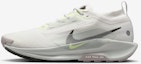 Buy Nike Pegasus Trail 5 GORE-TEX Leluar Jejak FQ0908-102