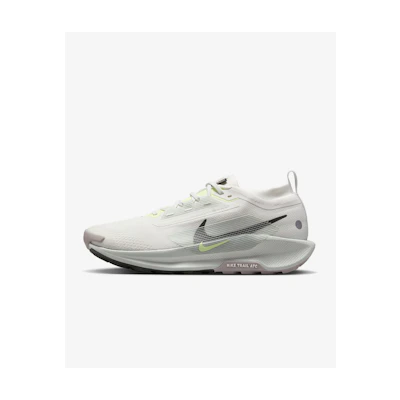 Nike Pegasus Trail 5 GORE-TEX