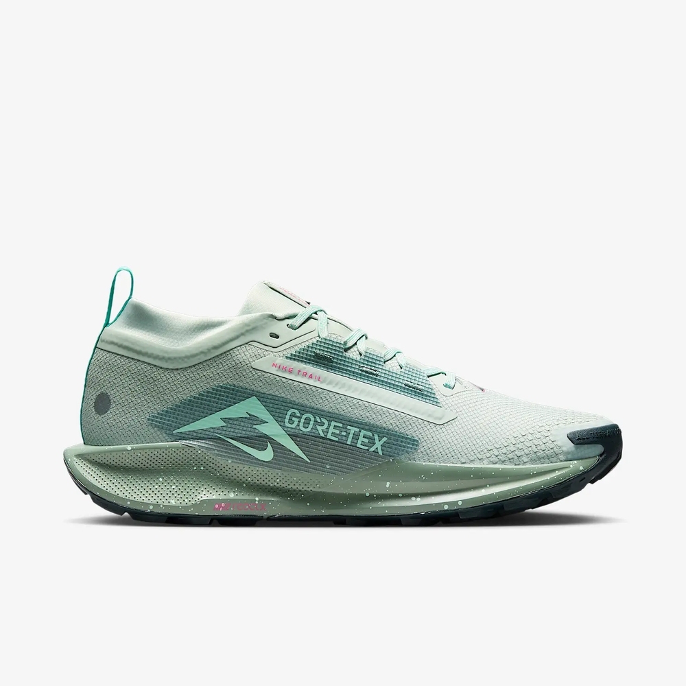 Lookbook Nike Pegasus Trail 5 GTX Running Shoes FQ0908013