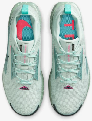 Nike Pegasus Trail 5 GTX Running Shoes FQ0908013 Shop Nike Pegasus Trail 5 GTX Running Shoes FQ0908013
