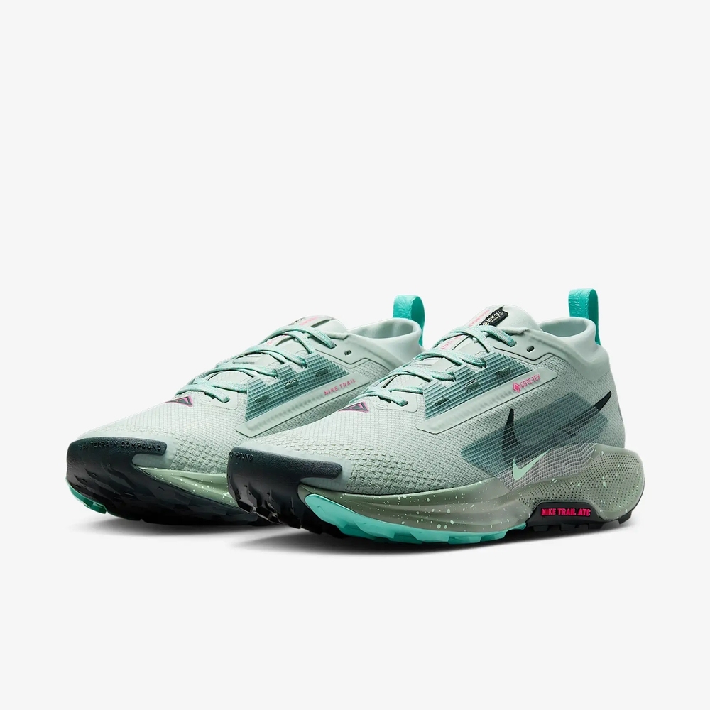 Purchase Nike Pegasus Trail 5 GTX Running Shoes FQ0908013