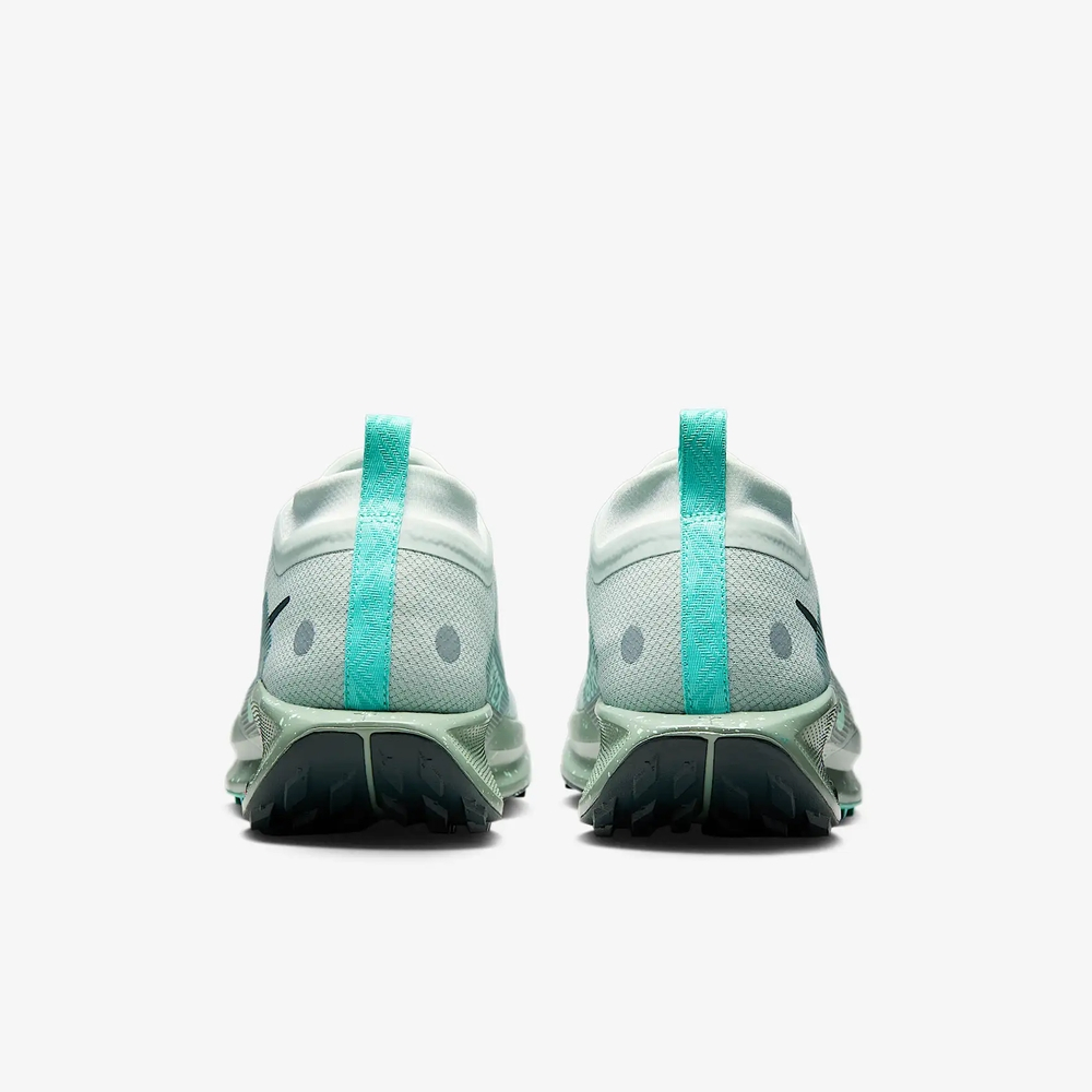 Details for Nike Pegasus Trail 5 GTX Running Shoes FQ0908013
