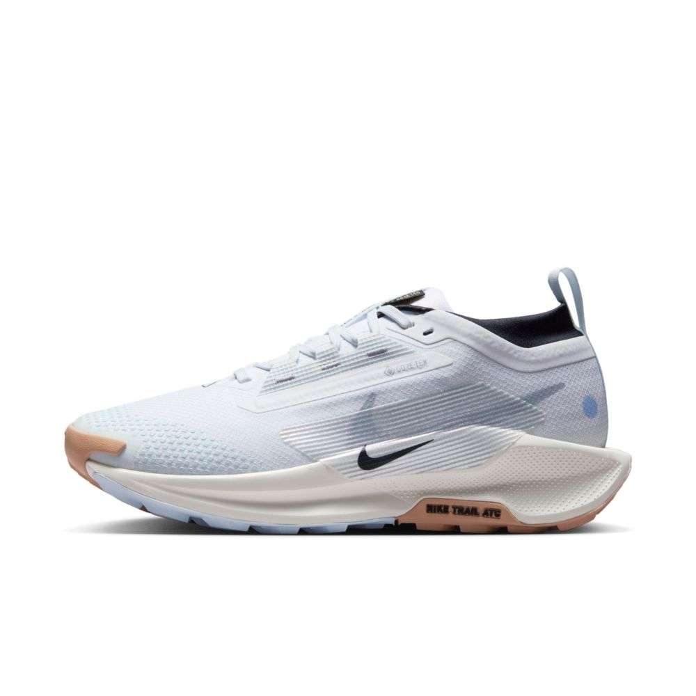 Order (W) Kasut Lari Nike Pegasus Trail 5 GTX FQ0912103