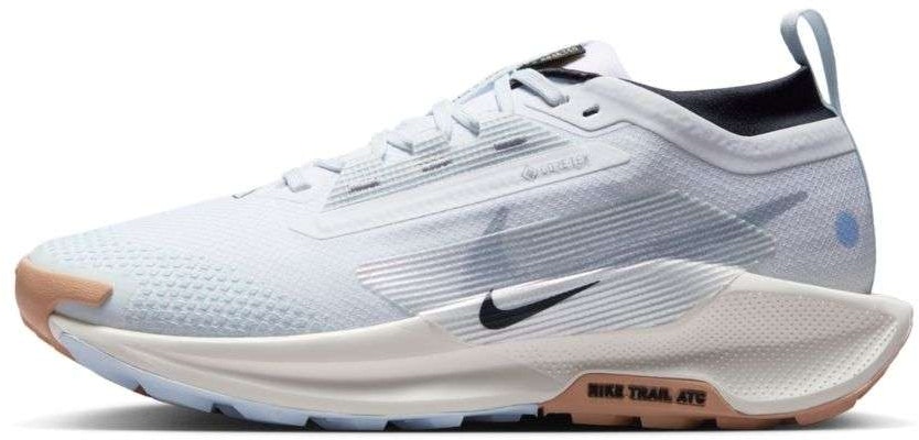 (W) Kasut Lari Nike Pegasus Trail 5 GTX FQ0912103 Order (W) Kasut Lari Nike Pegasus Trail 5 GTX FQ0912103