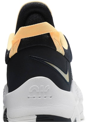 Nike PG 5 'Dark Obsidian Melon Tint' CW3143-401 Sizing Nike PG 5 'Dark Obsidian Melon Tint' CW3143-401