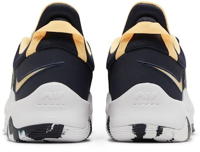 Nike PG 5 EP 'Obsidian Gelap Melon Tint' CW3146-401 Details for Nike PG 5 EP 'Obsidian Gelap Melon Tint' CW3146-401