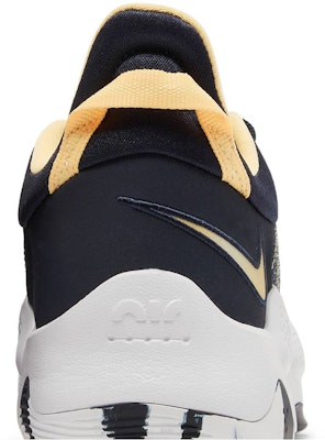 Nike PG 5 EP 'Dark Obsidian Melon Tint' CW3146-401 Sizing Nike PG 5 EP 'Dark Obsidian Melon Tint' CW3146-401