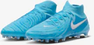 Details for Nike Phantom Luna 2 Elit FJ2579-400
