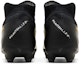 Details for Nike Phantom Luna 2 Pro FG 'White Black Metallic Gold Coin' FJ2575-100