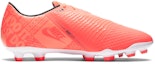 Order Nike Phantom Venom Academy FG 'Mango Brillante' AO0566-810