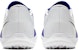Nike Phantom Venom Club TF 'Biru Putih' AO0579-104
