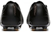 Purchase Nike Phantom Venom Elite FG 'Hitam Emas' AO7540-077