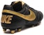 Nike Premier 2 FG 'Hitam Emas' 917803-077