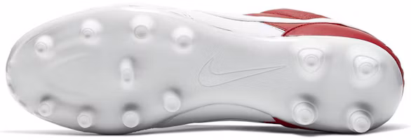 Details for Nike Premier 2 FG 硬地足球鞋 白紅