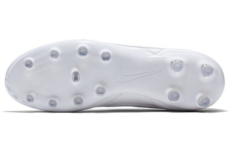 Details for Nike Premier FG Sol Ferm White 599427-111