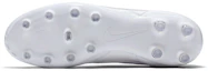 Details for Nike Premier FG Sol Ferm White 599427-111