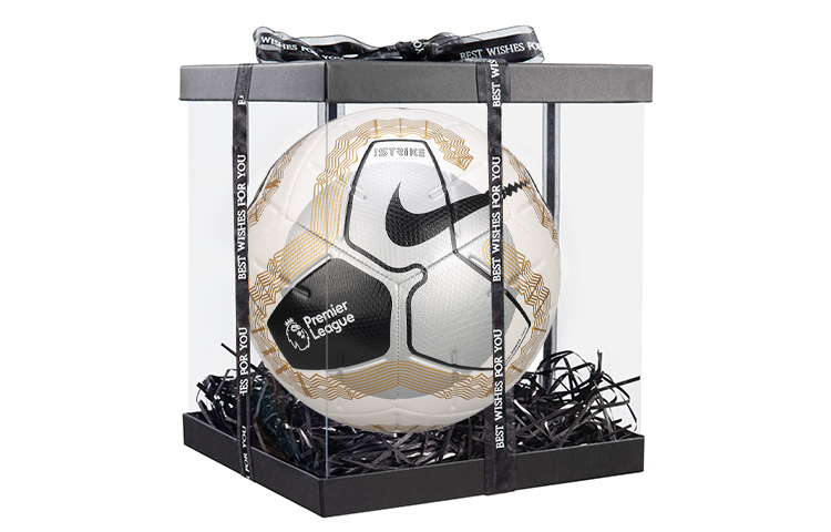 Details for Bola Sepak Nike Premier League Putih Perak - Saiz 5 untuk Latihan & Perlawanan. SC3552104