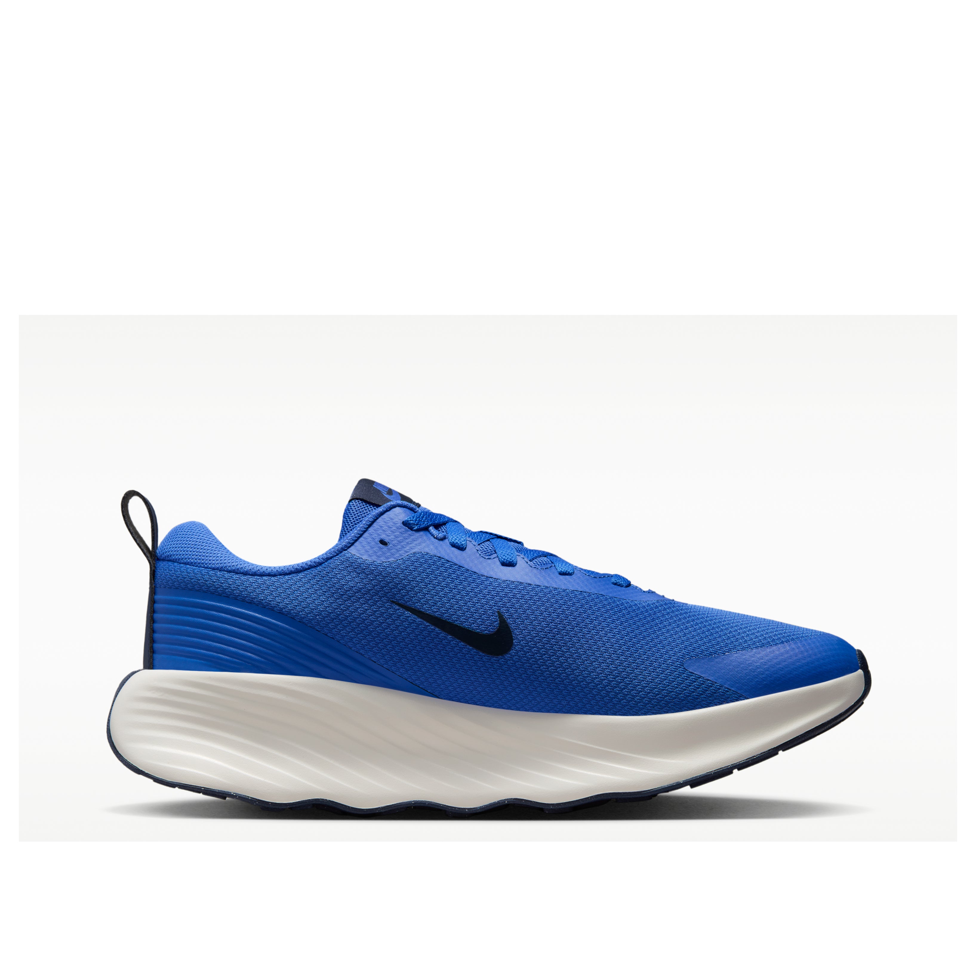 Details for Nike Promina Azul Cometa Blanco Summit Azul Marino Medianoche FV5285-401