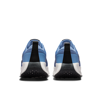 Details for Nike Promina Work Blue/Summit White/Black FV5285-402