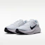 Purchase Nike Quest 7 Pure Platinum/White/Wolf Grey/Black IM6368-004