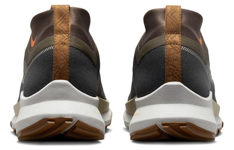 Lookbook Nike React Pegasus Trail 4 GORE-TEX '煙燻褐啤' FD5841-001