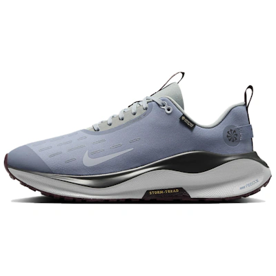 Nike ReactX Infinity Run 4 GORE-TEX 'Ashen Slate'