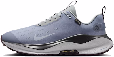 Nike ReactX Infinity Run 4 GORE-TEX 'Ashen Slate' HQ0265-400 Nike ReactX Infinity Run 4 GORE-TEX 'Ashen Slate' HQ0265-400