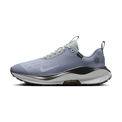 Nike ReactX Infinity Run 4 GORE-TEX 'Ashen Slate'
