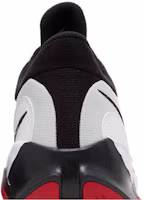 Sizing Nike Renew Elevate 3 '純鉑金黑紅' DD9304-100