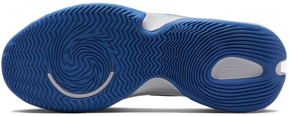 Nike Renew Elevate 3 'Pure Platinum Hyper Royal' dalam Bahasa Melayu. DD9304-006 Details for Nike Renew Elevate 3 'Pure Platinum Hyper Royal' dalam Bahasa Melayu. DD9304-006