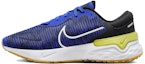 Buy Nike Renew Run 4 'Racer Blue Black' Lelaki Birch Black DR2677-401