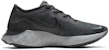 Nike Renew Run 'Anthracite Cool Grey' CZ9263-001